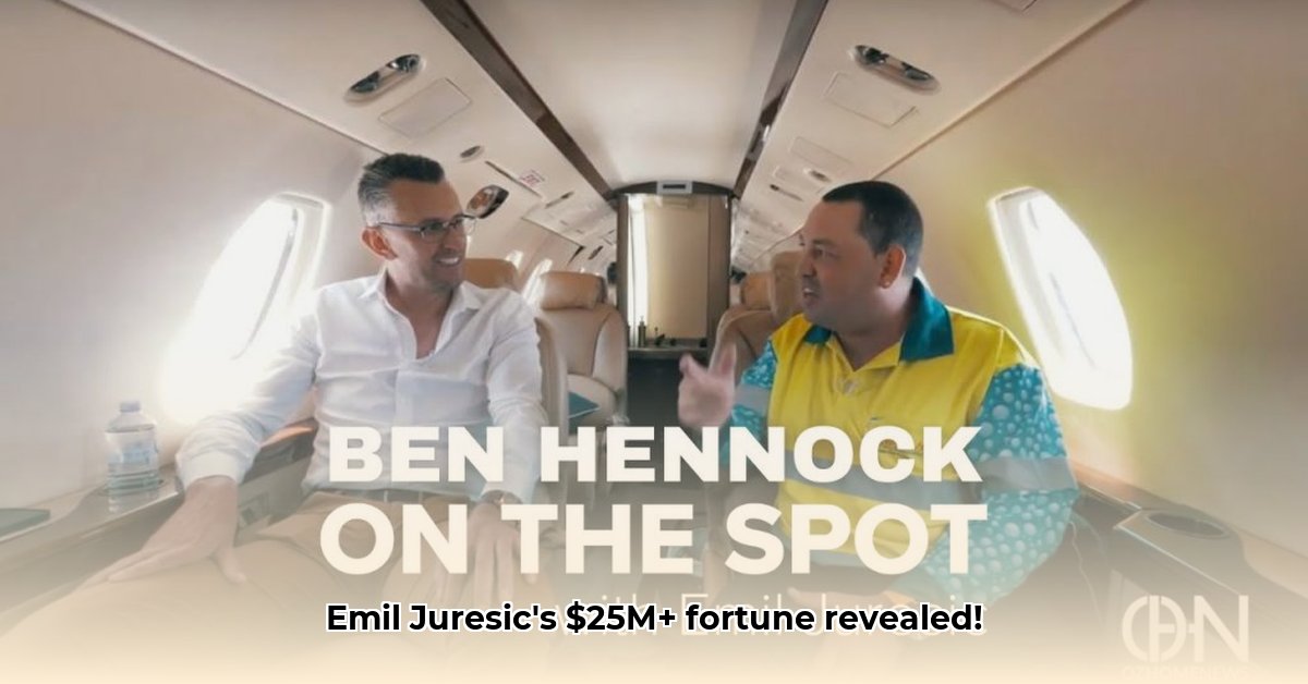 emil-juresic-net-worth